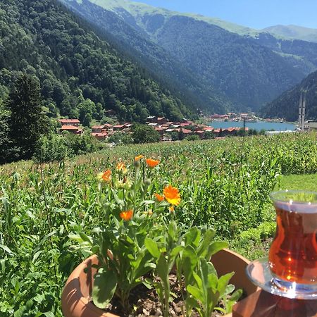 Zeren Pansiyon Kamalac Zewnętrze zdjęcie