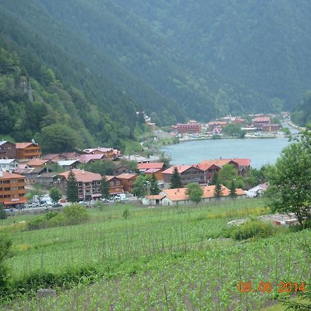 Zeren Pansiyon Kamalac Zewnętrze zdjęcie