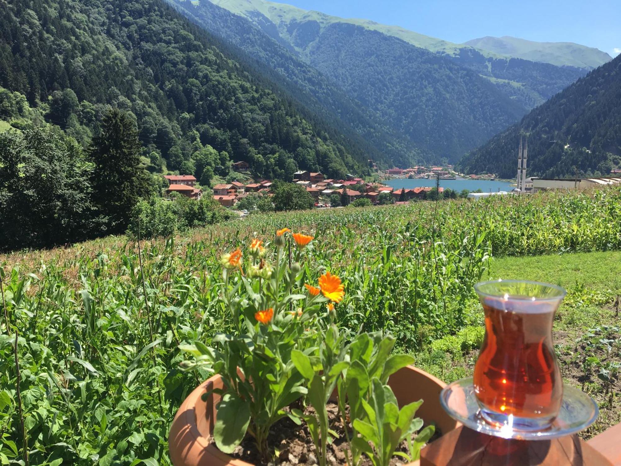 Zeren Pansiyon Kamalac Zewnętrze zdjęcie